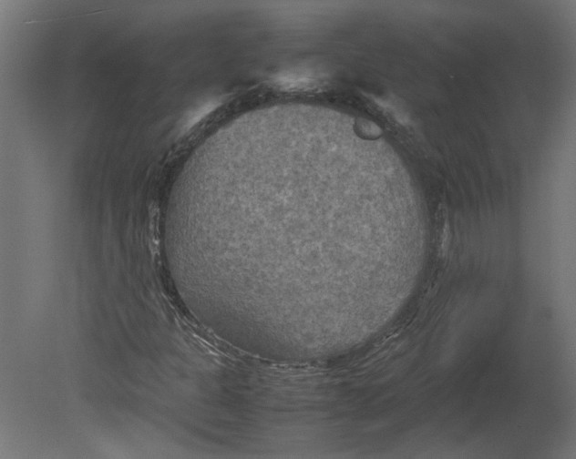 X0000080661301200701050932