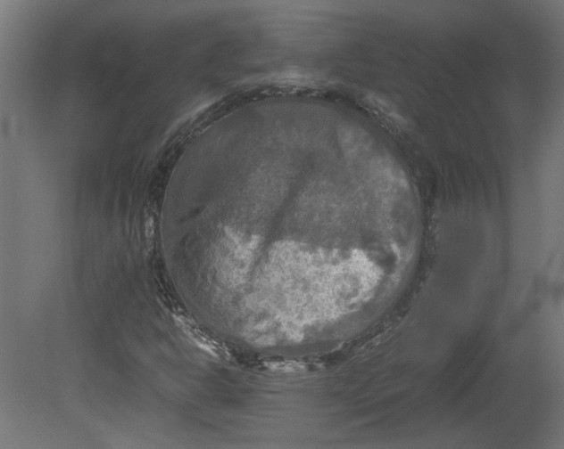 X0000080661302200701050932