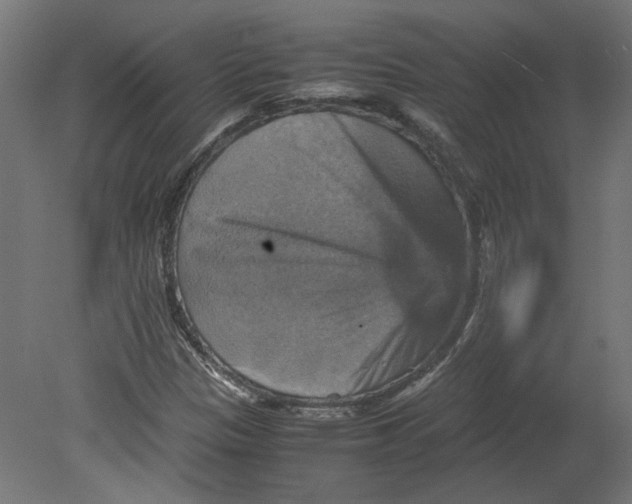 X0000080661305200701050932