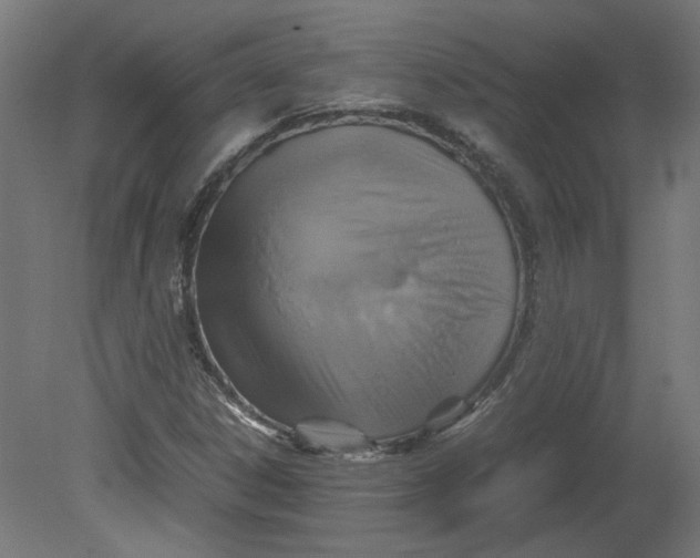 X0000080661306200701050932