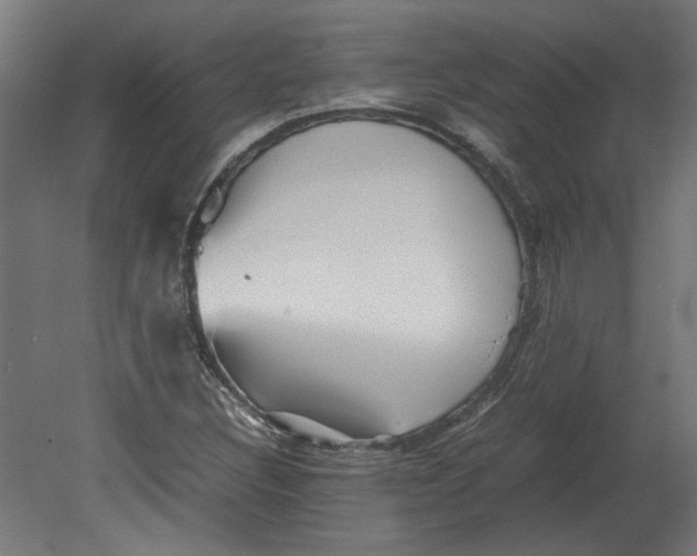 X0000080661308200701050932