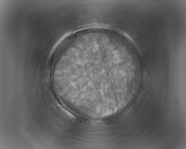 X0000080661310200701050932