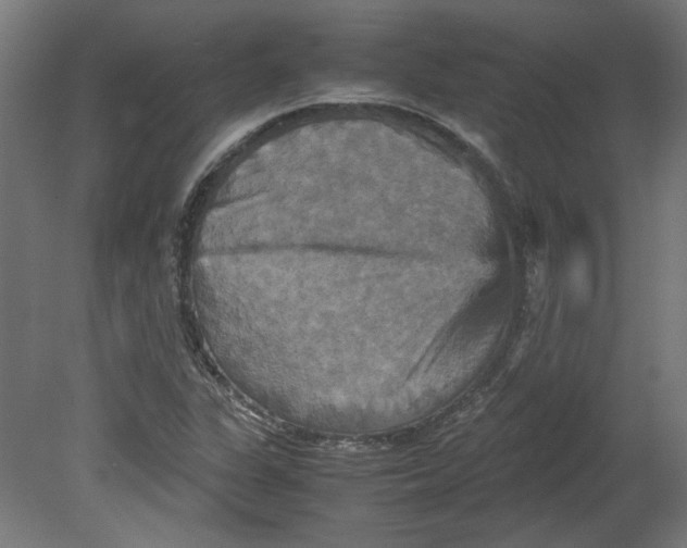 X0000080661311200701050932