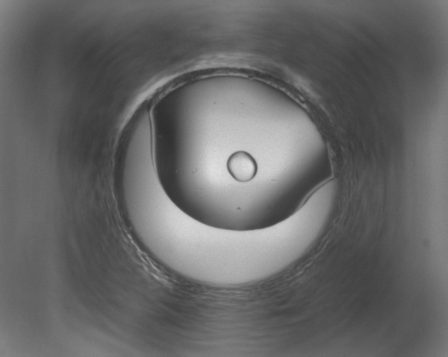 X0000080661312200701050932