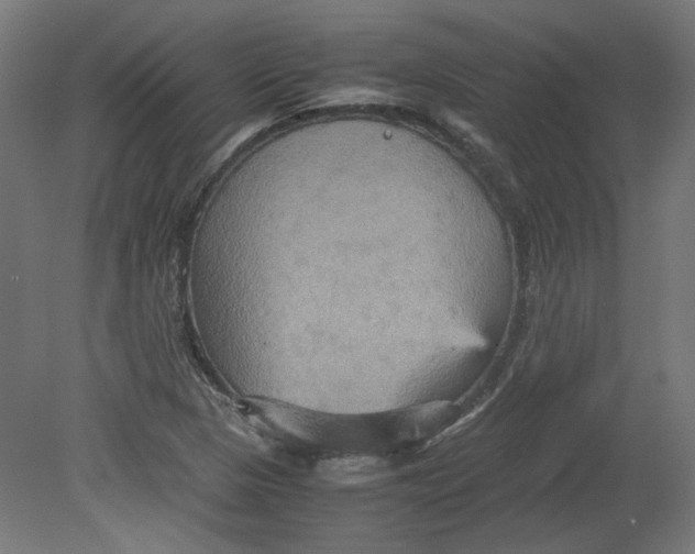 X0000080661313200701050932