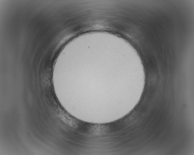 X0000080661314200701050932