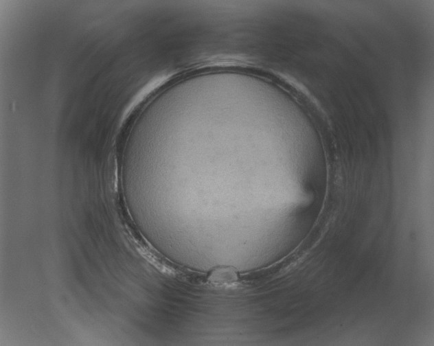 X0000080661317200701050932