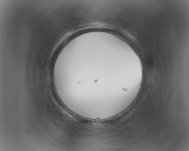 X0000080661318200701050932