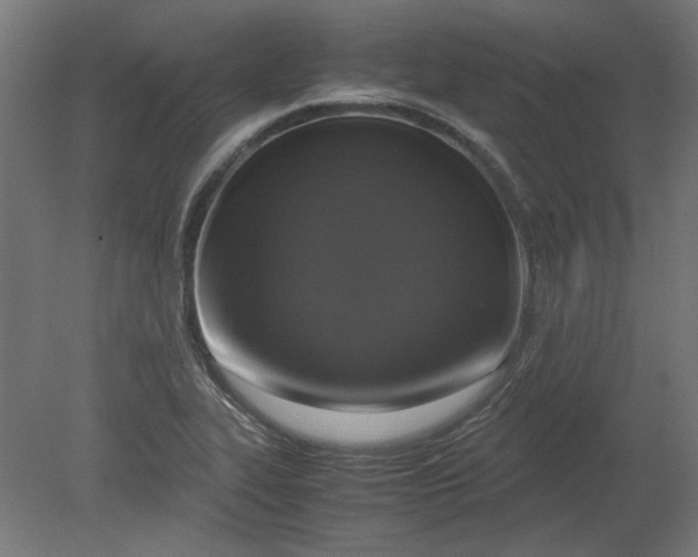 X0000080661319200701050932