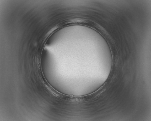 X0000080661321200701050932