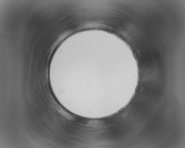 X0000080661322200701050932