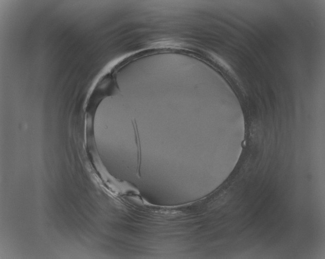 X0000080661323200701050932