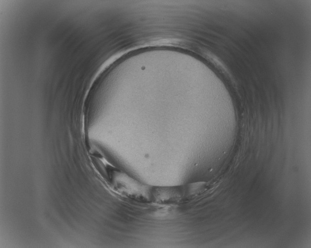 X0000080661324200701050932