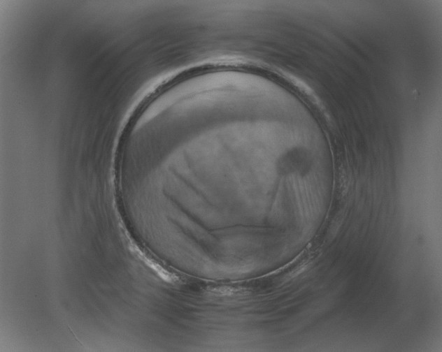 X0000080661327200701050933