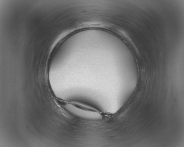 X0000080661328200701050933