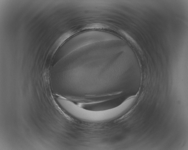 X0000080661329200701050933