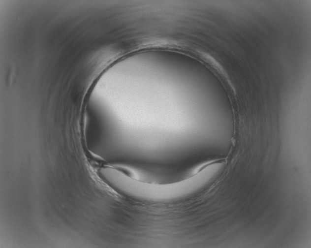 X0000080661330200701050933