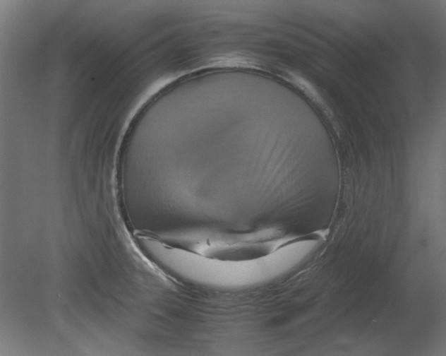 X0000080661331200701050933