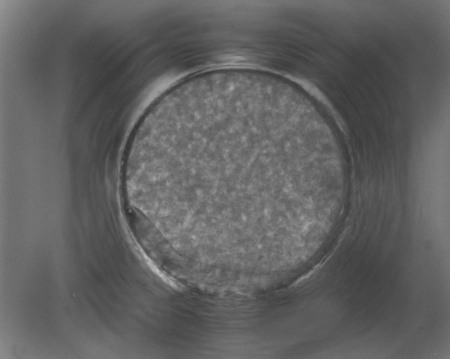 X0000080661333200701050933