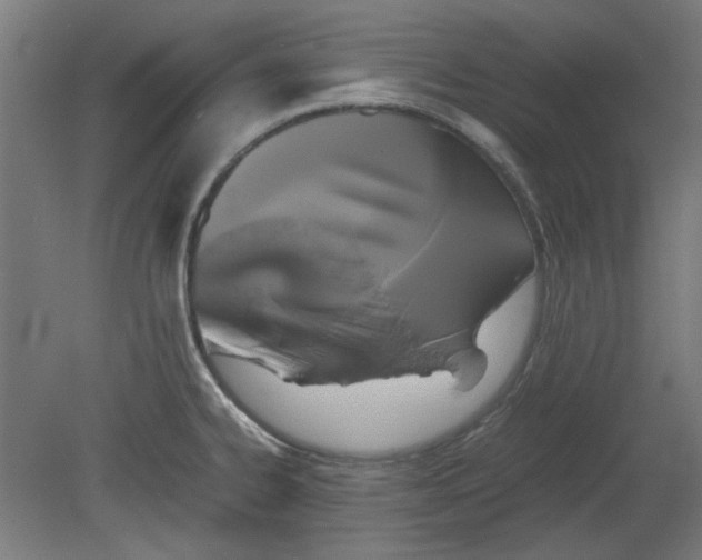 X0000080661334200701050933