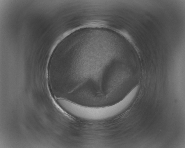 X0000080661335200701050933