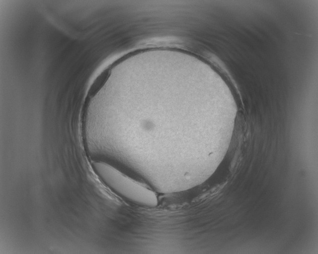 X0000080661336200701050933