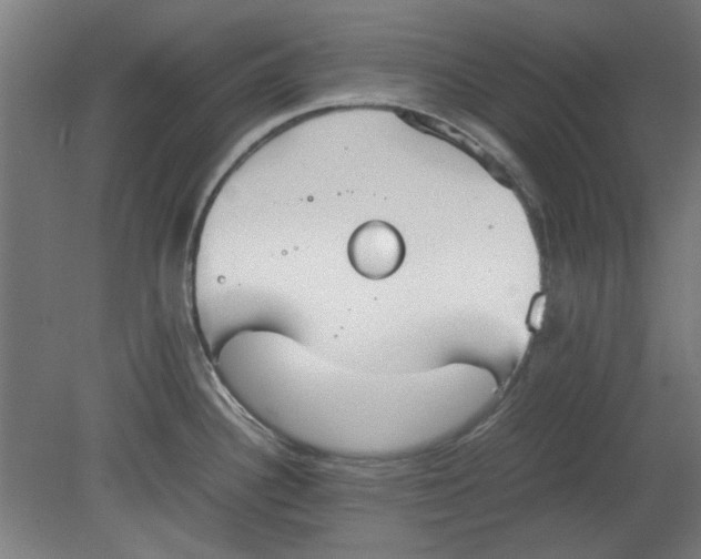 X0000080661340200701050933