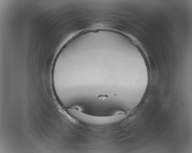 X0000080661341200701050933