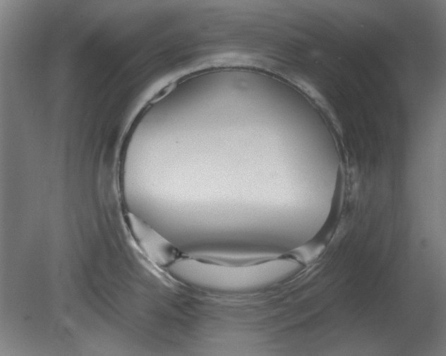 X0000080661342200701050933