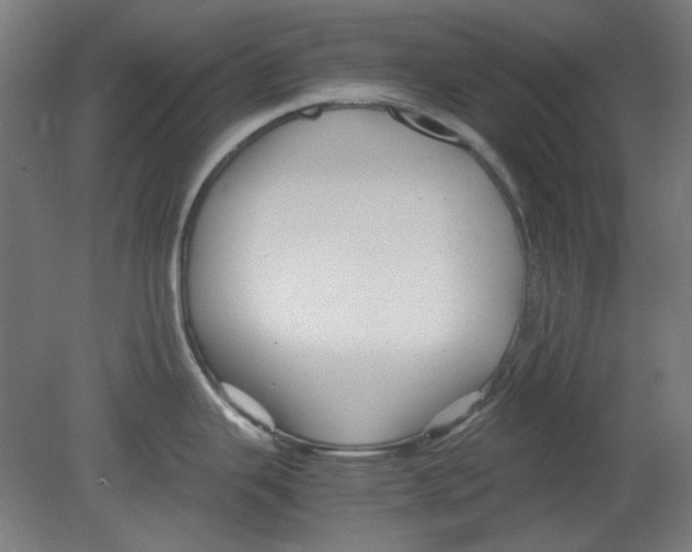 X0000080661343200701050933