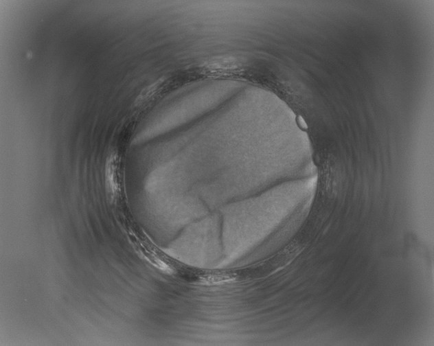 X0000080661346200701050932