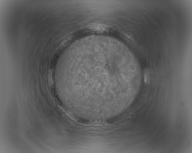 X0000080661347200701050932