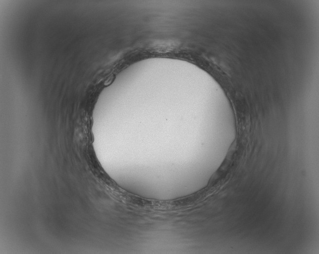 X0000080661349200701050932