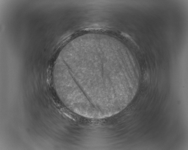 X0000080661350200701050932