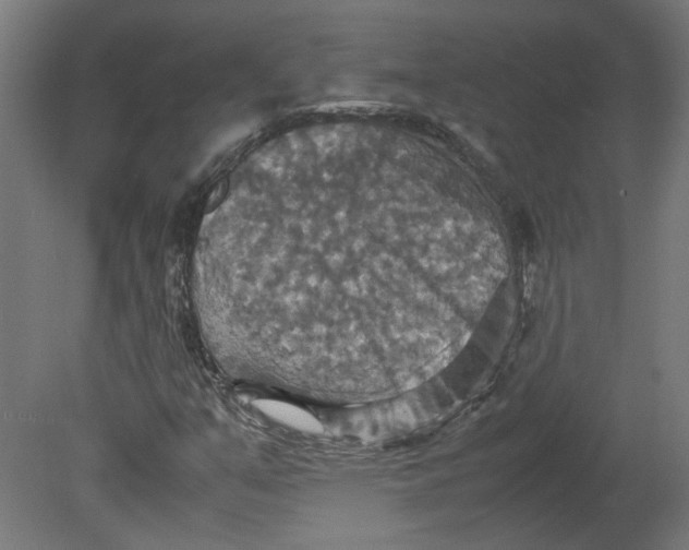 X0000080661351200701050932