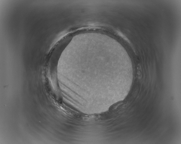 X0000080661352200701050932