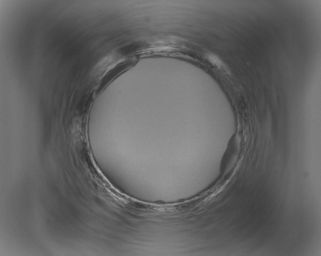 X0000080661353200701050932