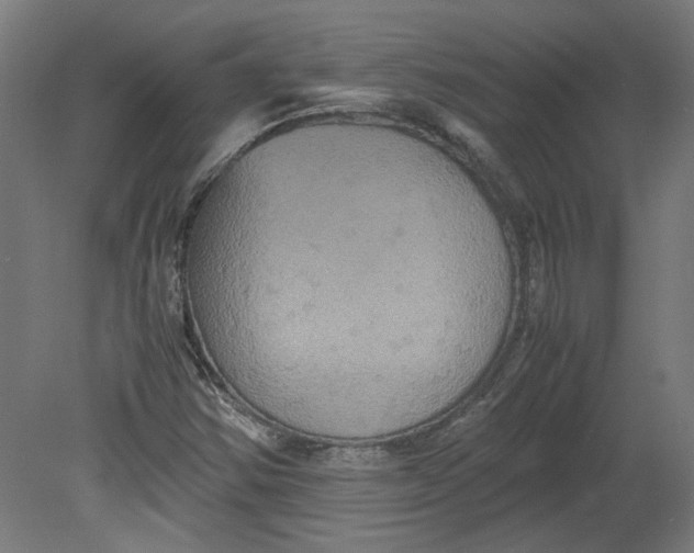 X0000080661354200701050932