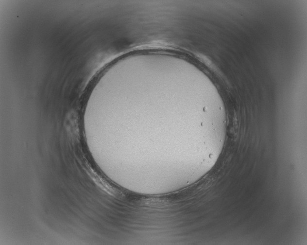 X0000080661356200701050932