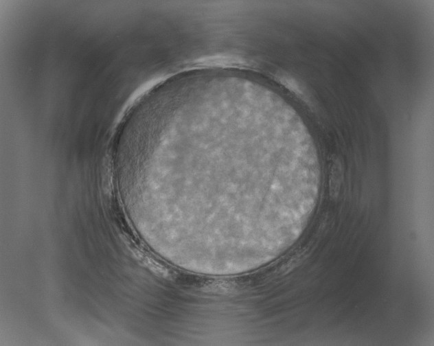 X0000080661358200701050932