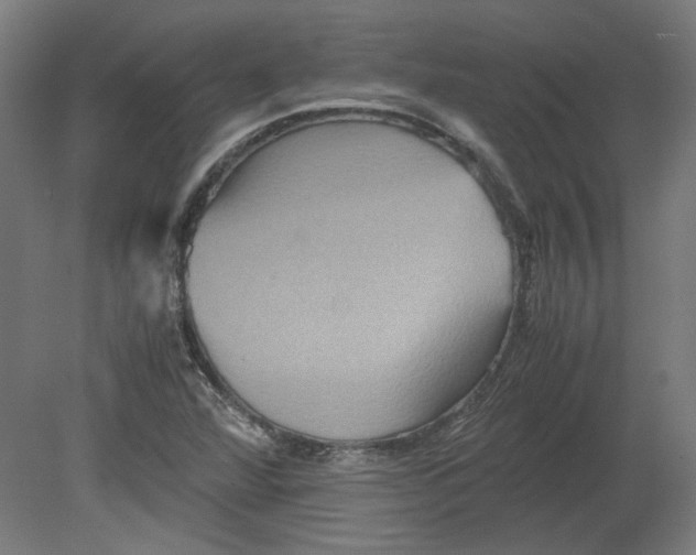 X0000080661360200701050932