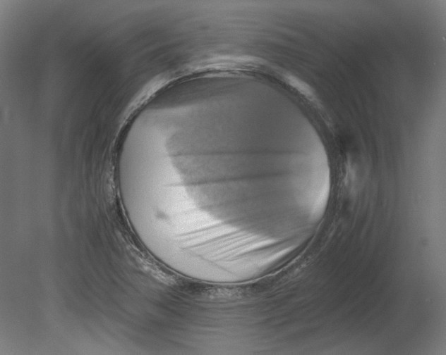 X0000080661362200701050932