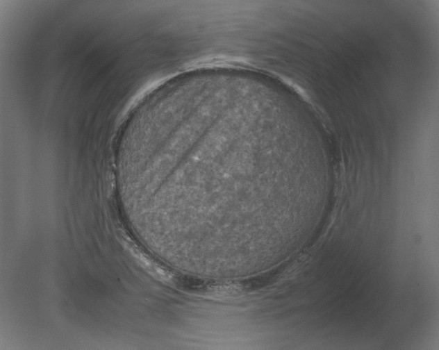 X0000080661363200701050932