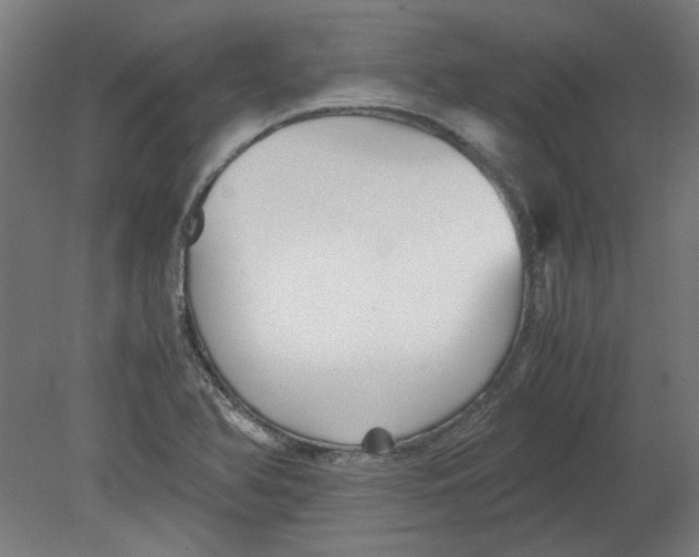 X0000080661366200701050932