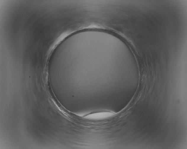 X0000080661367200701050932