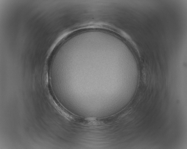 X0000080661368200701050932