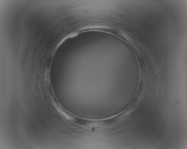 X0000080661369200701050932