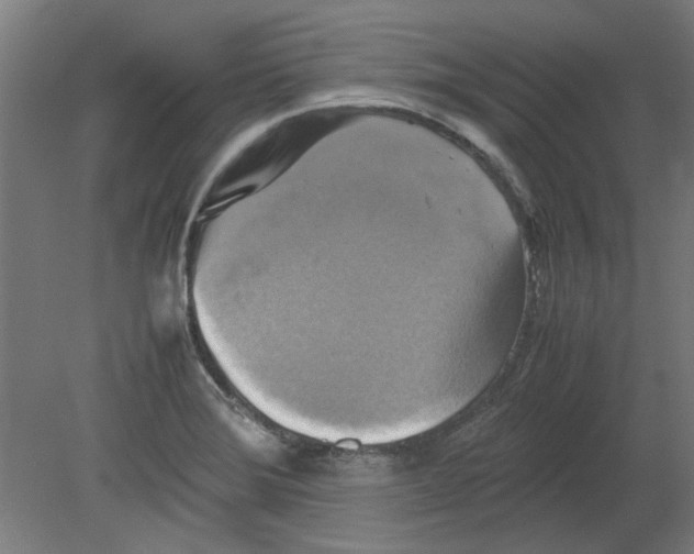 X0000080661372200701050932