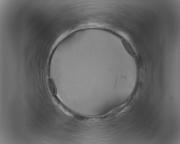 X0000080661373200701050932