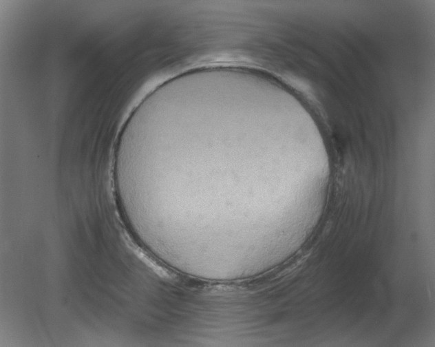 X0000080661374200701050932